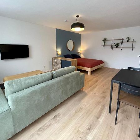 Grand Studio Joli Coeur - Calme Cosy Lumineux + Parking Nancy Exterior photo