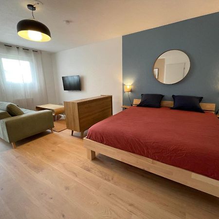 Grand Studio Joli Coeur - Calme Cosy Lumineux + Parking Nancy Exterior photo