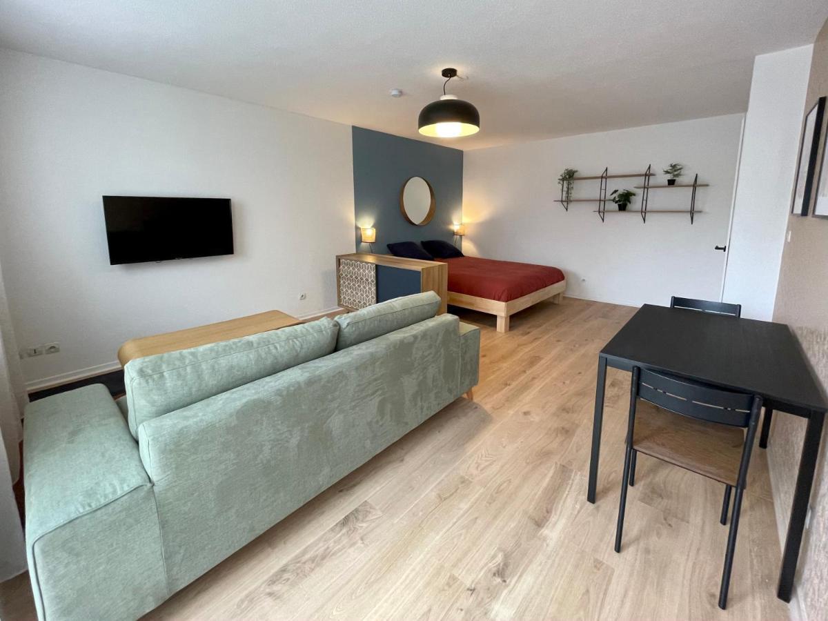 Grand Studio Joli Coeur - Calme Cosy Lumineux + Parking Nancy Exterior photo