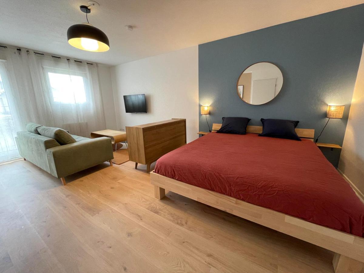 Grand Studio Joli Coeur - Calme Cosy Lumineux + Parking Nancy Exterior photo